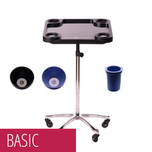 Load image into Gallery viewer, Braids & Freckles • Basic Colorist Tray Set